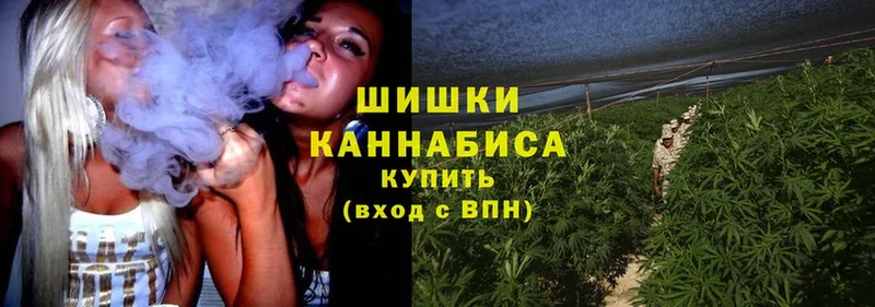 Бошки марихуана White Widow  Избербаш 